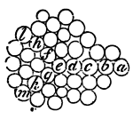 Mathematical Principles of Natural Philosophy figure: 356