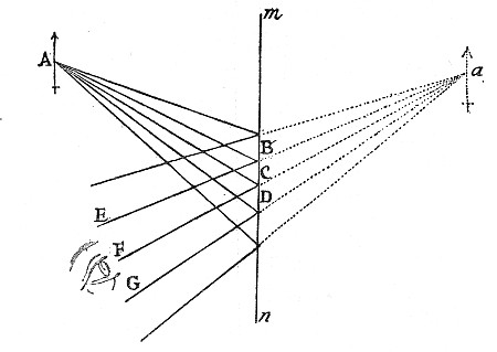 Fig. 9.