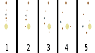 The Sun Spinning all Planets in its System at different Rates