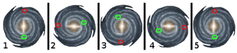 The Galaxy Spinning all Solar Systems at the same Rate